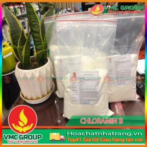 CLORAMIN B THÙNG 25KG TQ